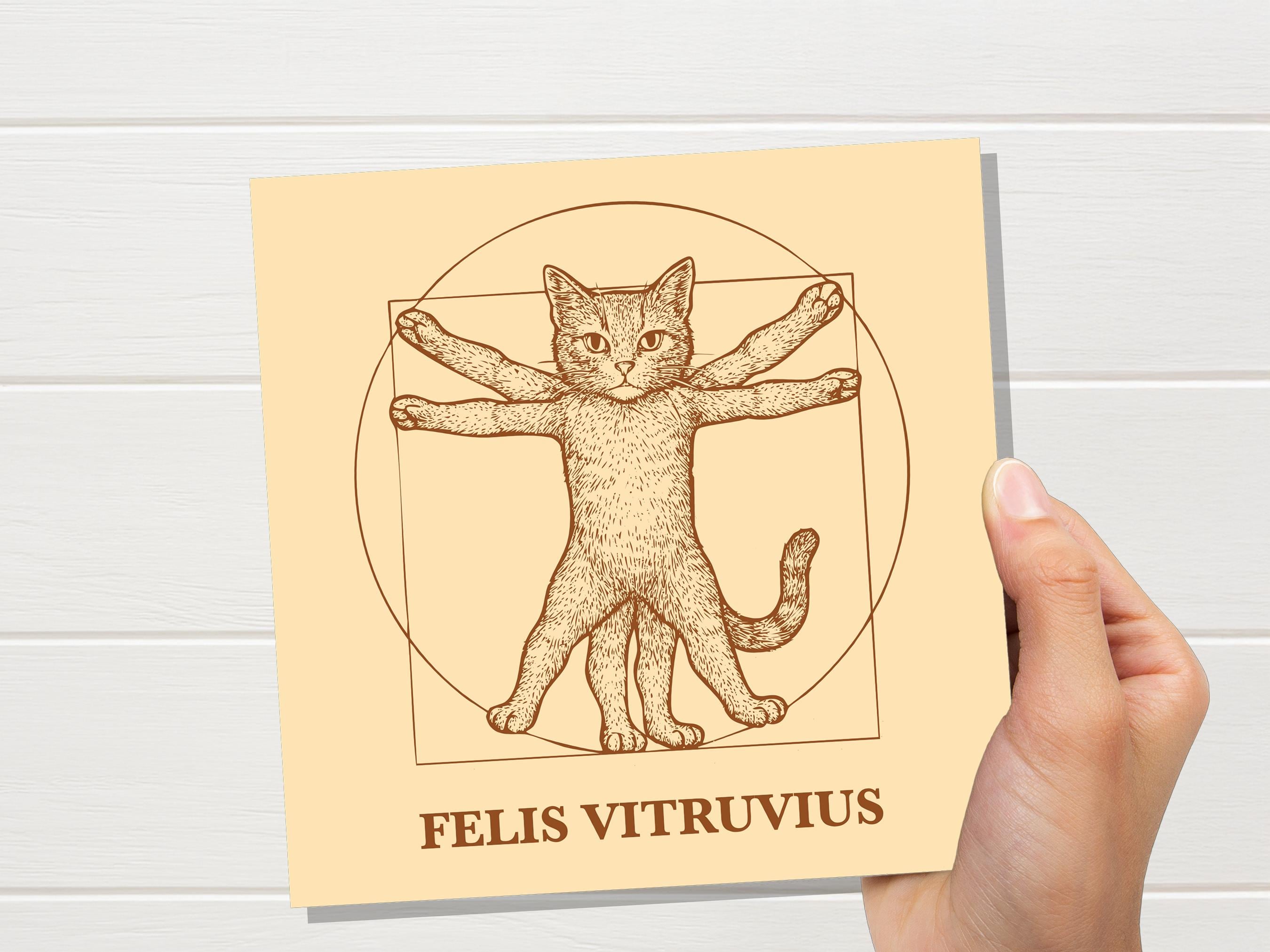 Felis Vitruvius Card | Unique Funny Vitruvian Man Art Parody | Greeting Card for Art History Cat Lovers Leonardo Da Vinci Humour Artist Gift - View 4