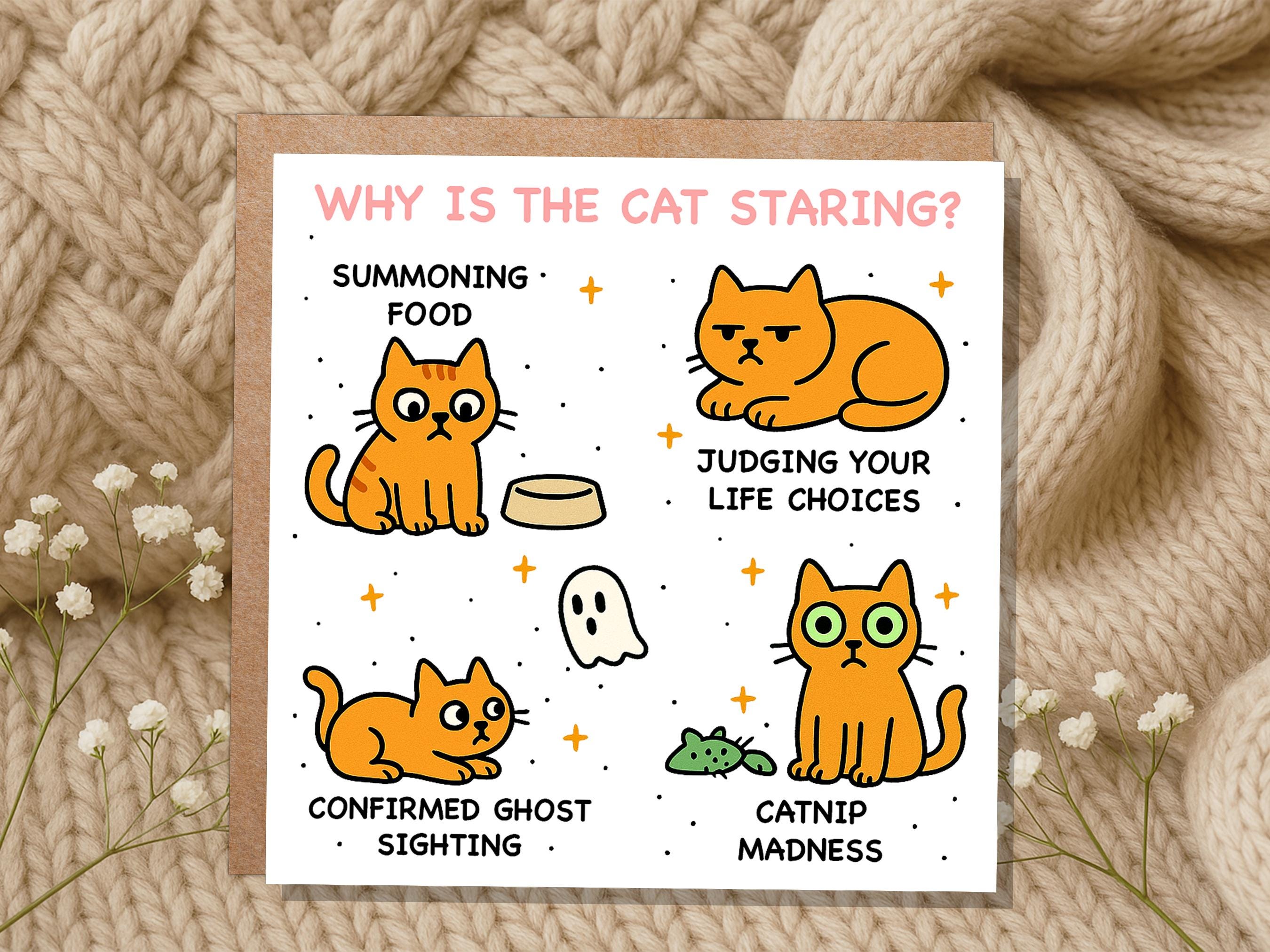 Why Is the Cat Staring? Funny Cat Meme Birthday Card | Catnip Madness, Judging your Life Choices | Relatable Crazy Cat Lady Mum Dad Humour - View 3