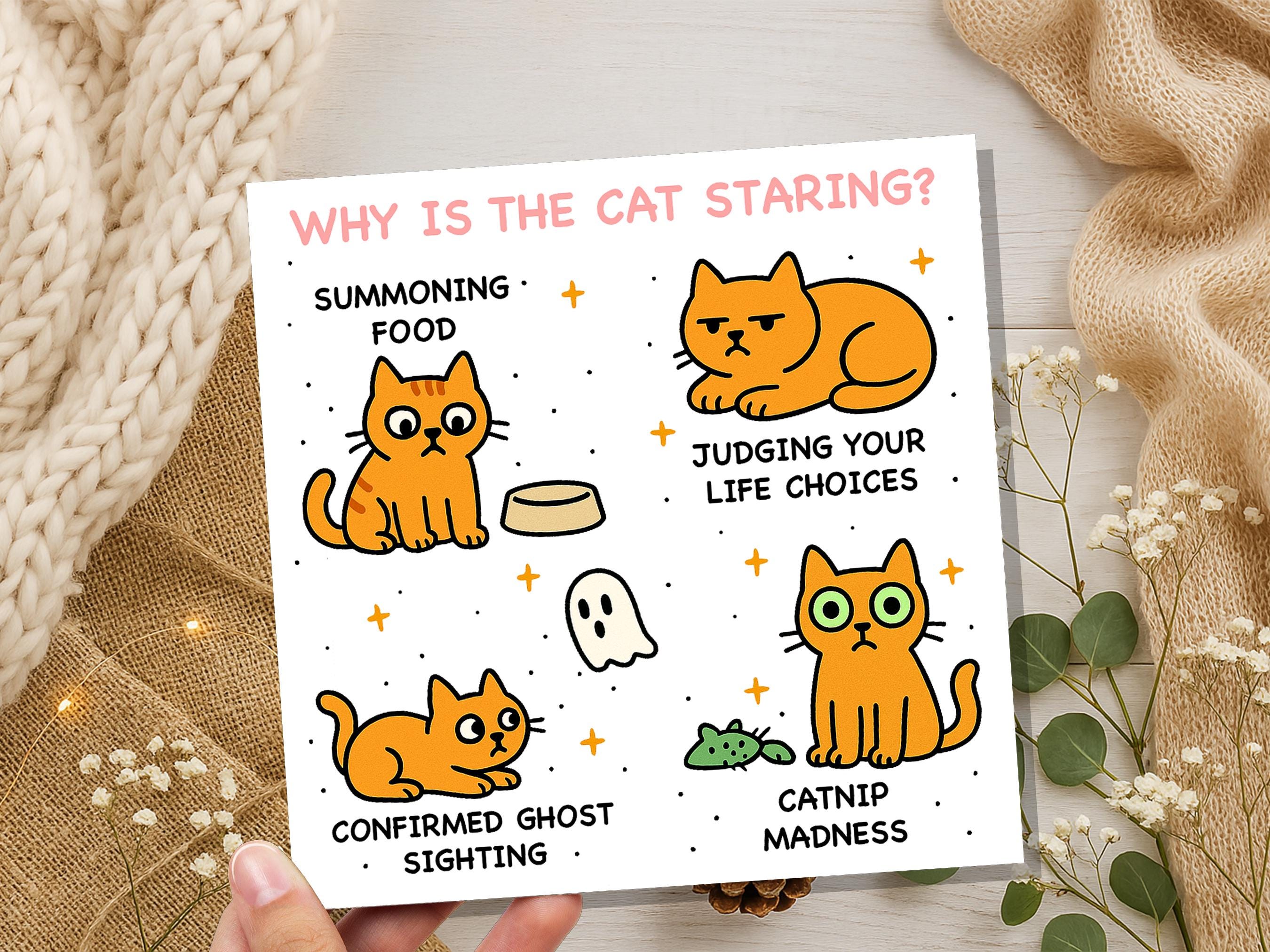 Why Is the Cat Staring? Funny Cat Meme Birthday Card | Catnip Madness, Judging your Life Choices | Relatable Crazy Cat Lady Mum Dad Humour - View 2
