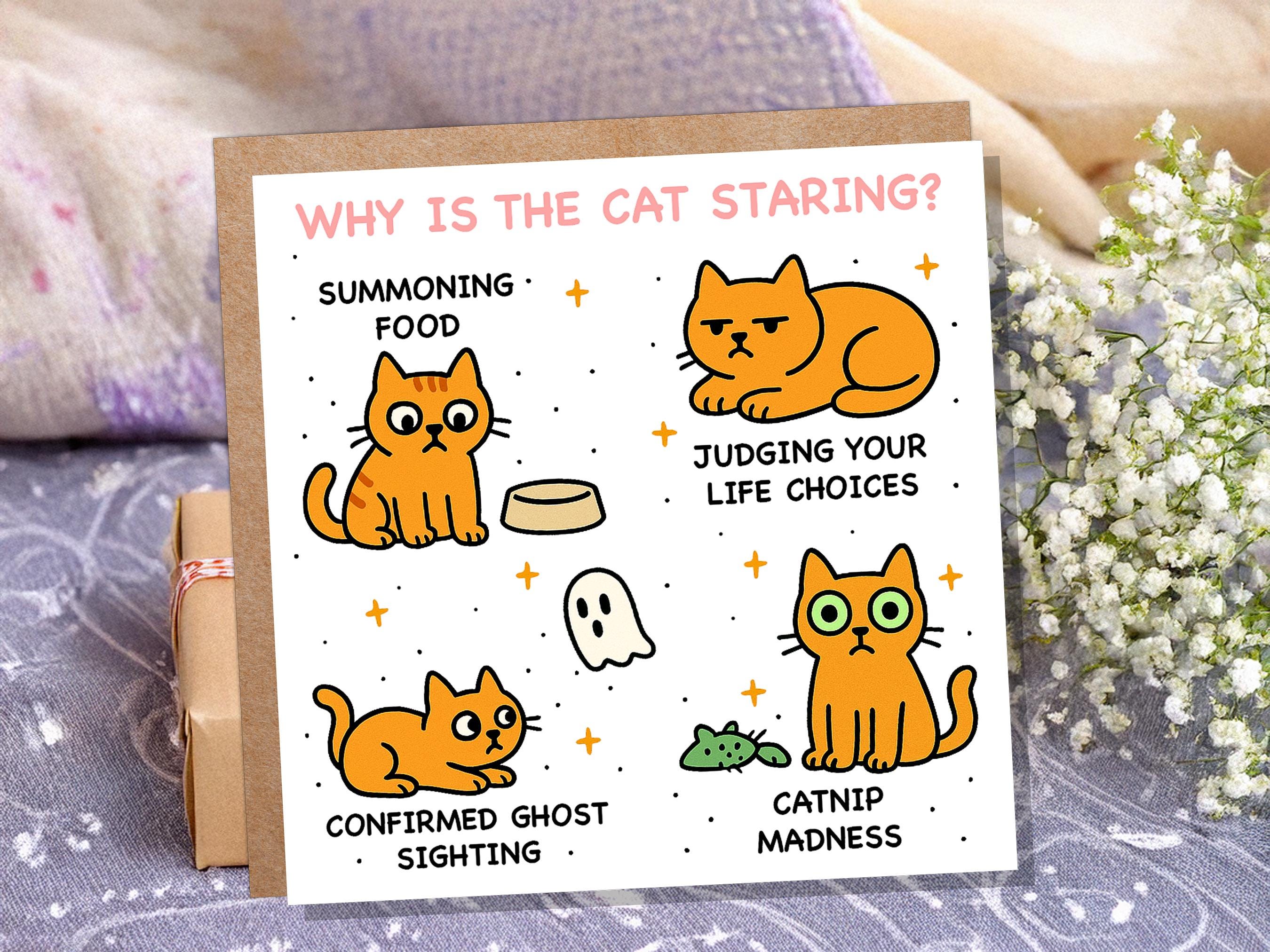 Why Is the Cat Staring? Funny Cat Meme Birthday Card | Catnip Madness, Judging your Life Choices | Relatable Crazy Cat Lady Mum Dad Humour - View 5