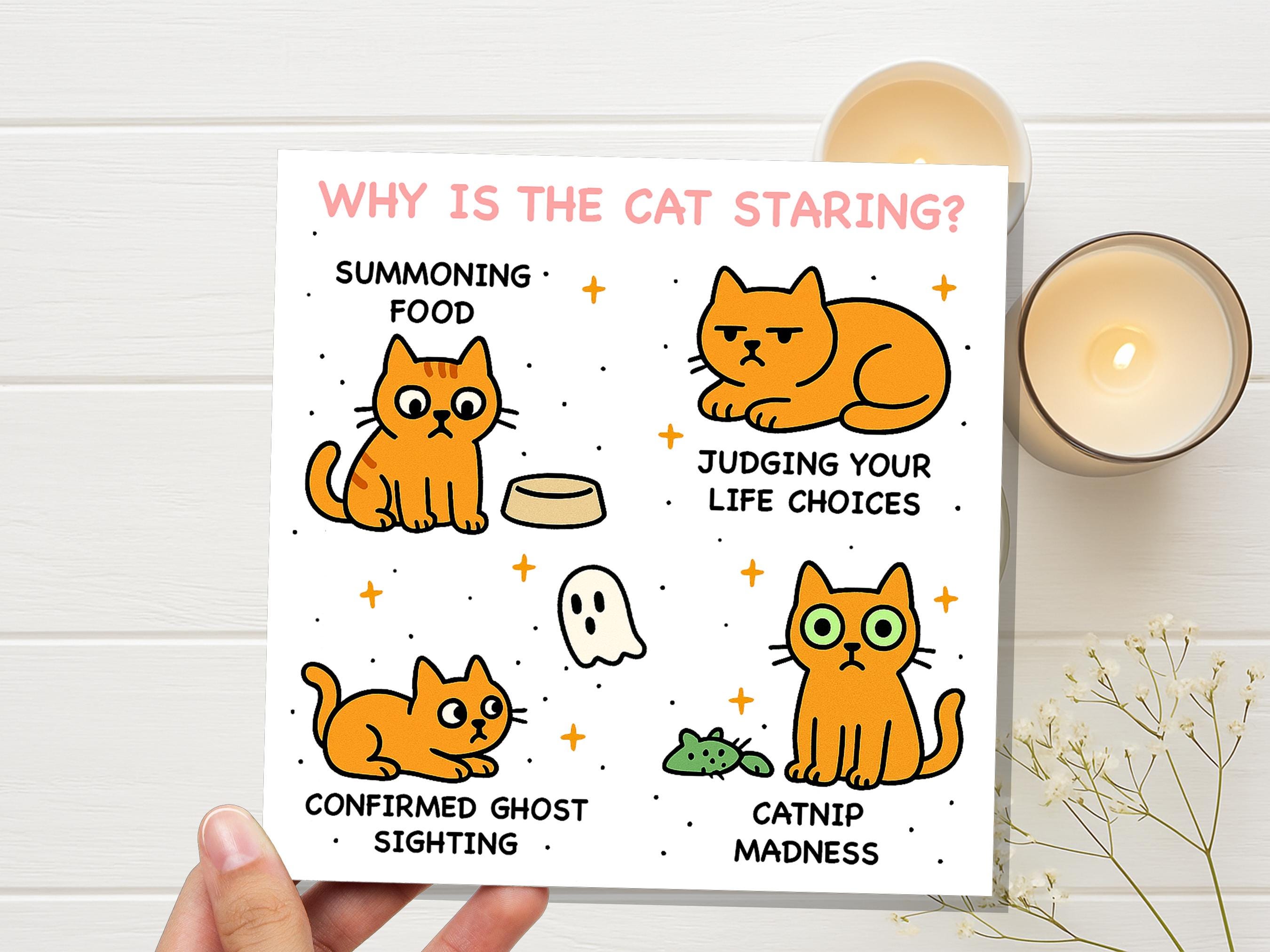 Why Is the Cat Staring? Funny Cat Meme Birthday Card | Catnip Madness, Judging your Life Choices | Relatable Crazy Cat Lady Mum Dad Humour - View 7