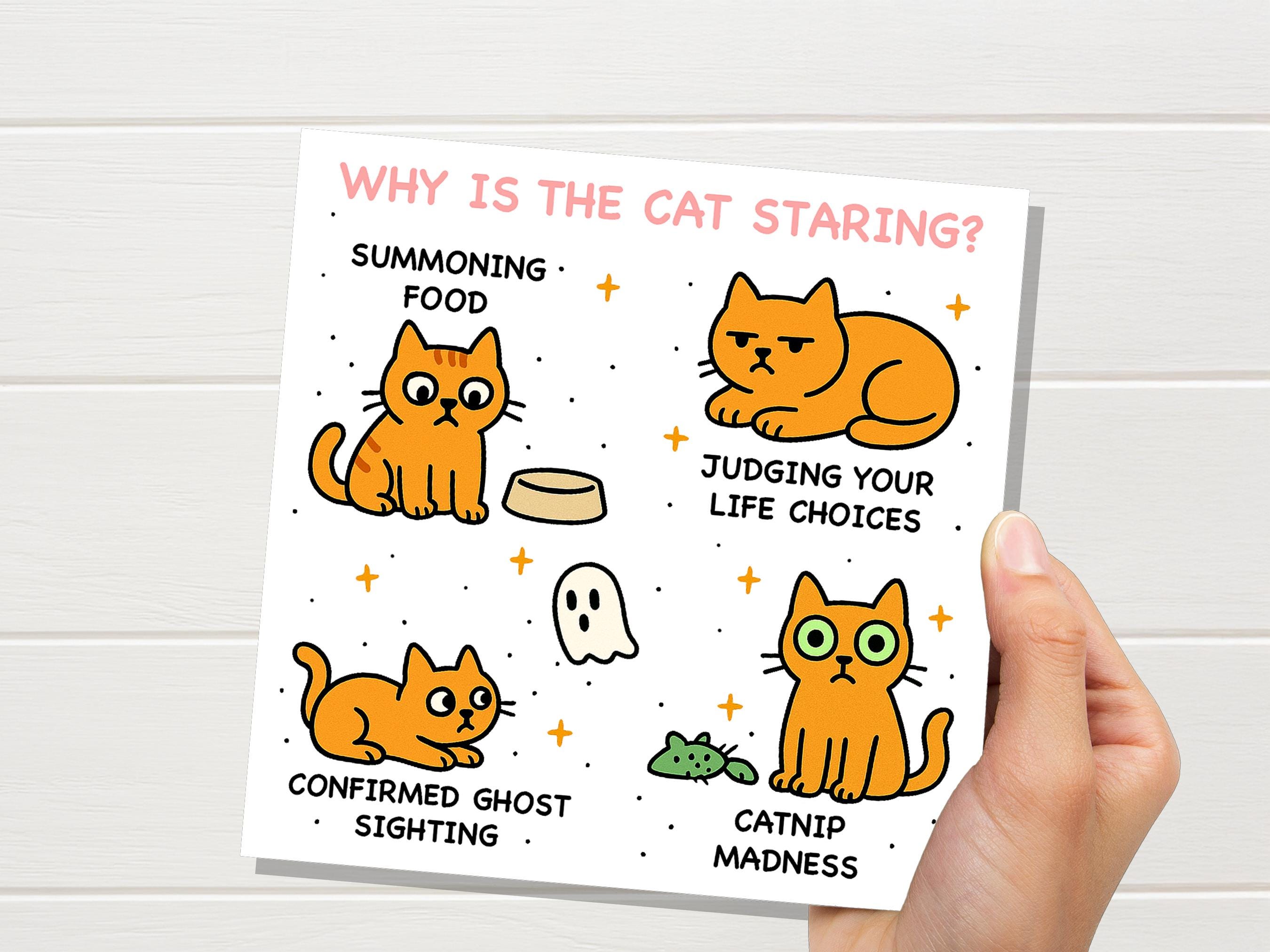Why Is the Cat Staring? Funny Cat Meme Birthday Card | Catnip Madness, Judging your Life Choices | Relatable Crazy Cat Lady Mum Dad Humour