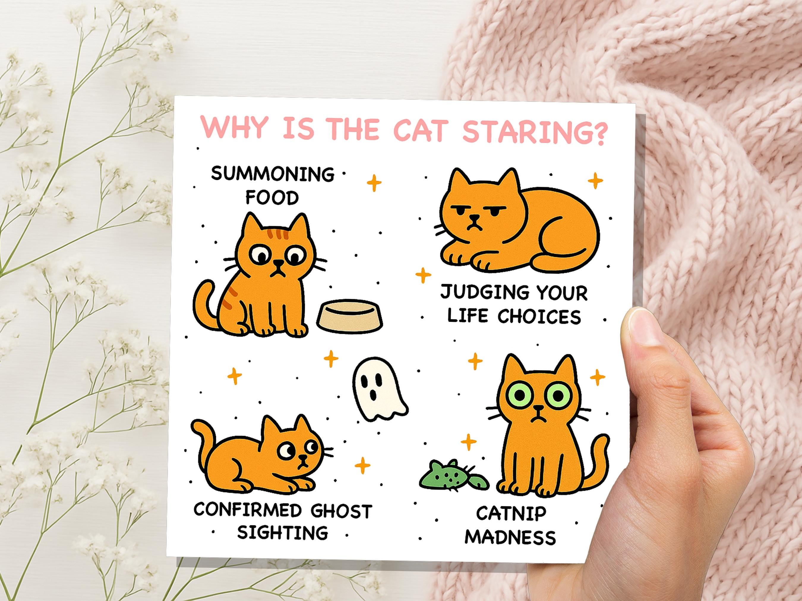 Why Is the Cat Staring? Funny Cat Meme Birthday Card | Catnip Madness, Judging your Life Choices | Relatable Crazy Cat Lady Mum Dad Humour - View 8