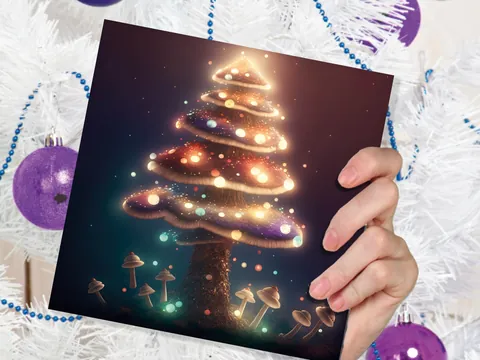 Colourful Fairy Mushroom House Card