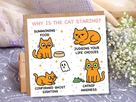 Why Is the Cat Staring? Birthday Card - View 5