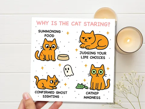 Why Is the Cat Staring? Birthday Card - View 7