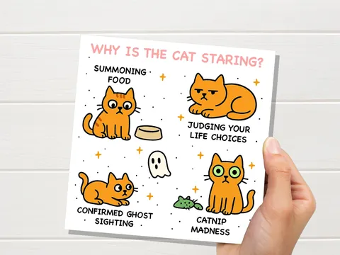 Why Is the Cat Staring? Birthday Card
