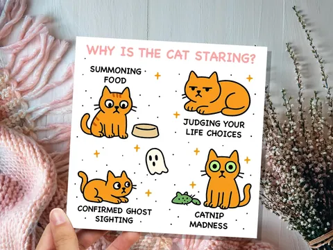 Why Is the Cat Staring? Birthday Card - View 6