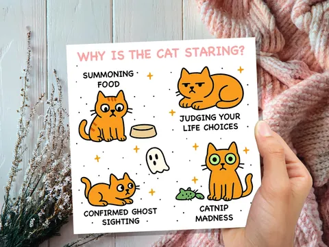 Why Is the Cat Staring? Birthday Card - View 9